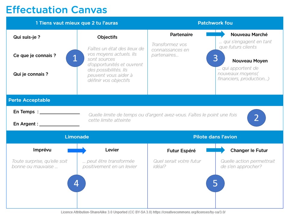 Effectuation Canvas